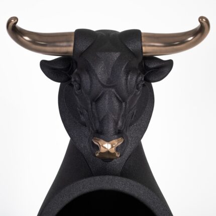 shor front view sculptural piece maarcora